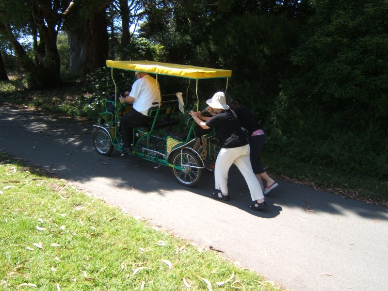 Palo Alto-Gal 6.2005 694.jpg